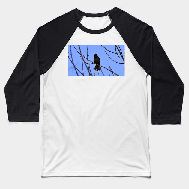 Common Grackle Perched On A Tree Branch Baseball T-Shirt by BackyardBirder